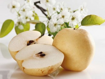 Trị Mụn Cám cho Nam Giới Từ Trái Lê